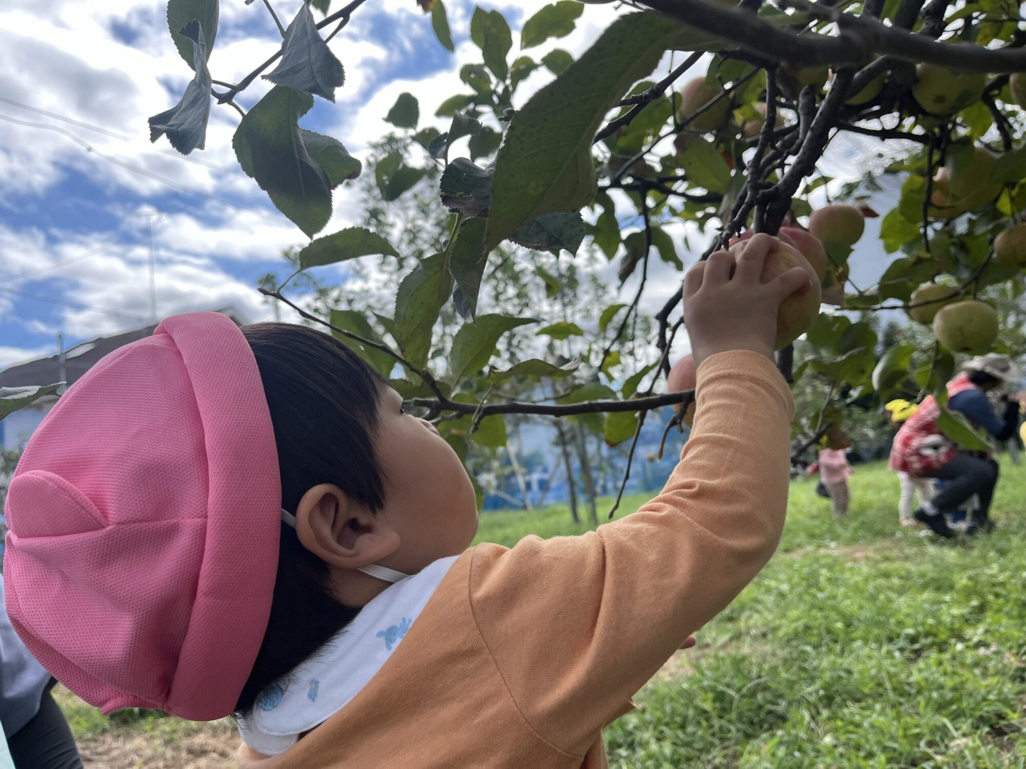 りんご狩り🍎